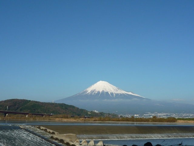 fujikawa1-4.jpg