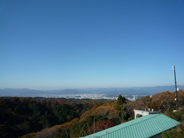 shizuoka1-2.jpg