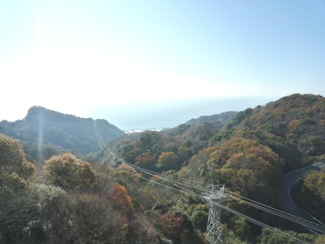 shizuoka1-4.jpg