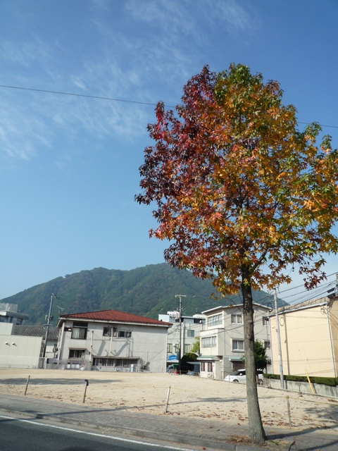 takahashi1-2.jpg